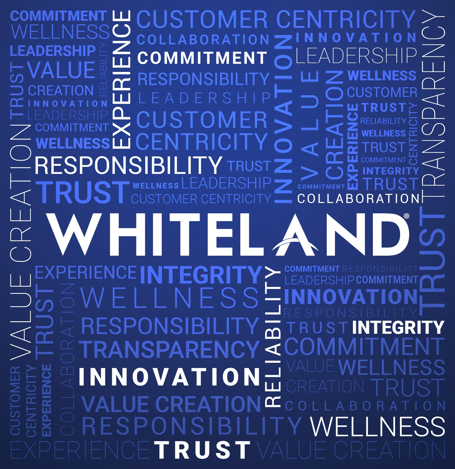 Whiteland-Real-Estate-Company-Gurugram